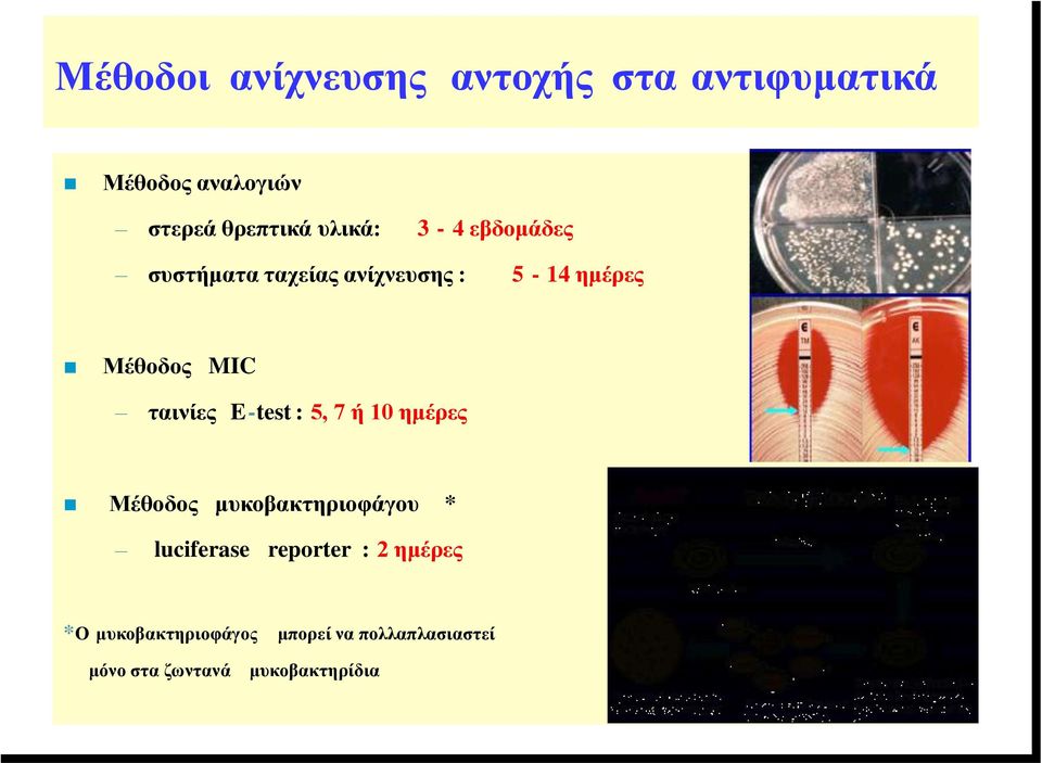 ηαηλίεο E-test : 5, 7 ή 10 εκέξεο Μέζνδνο κπθνβαθηεξηνθάγνπ * luciferase reporter