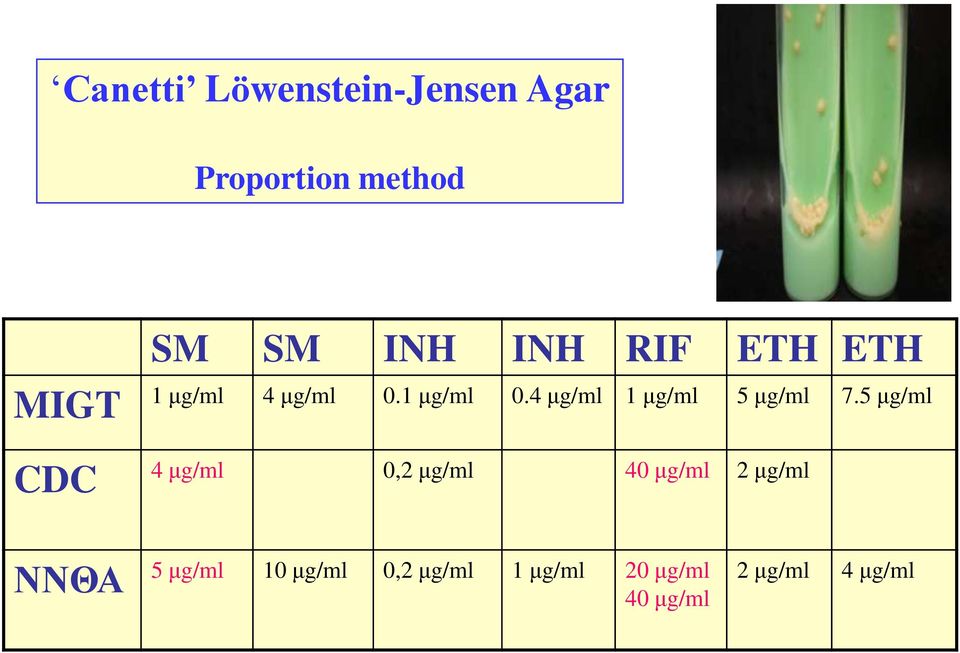 4 κg/ml 1 κg/ml 5 κg/ml 7.