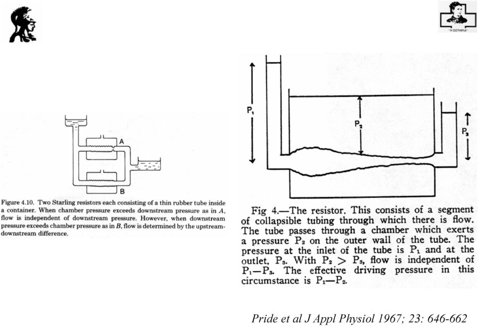 al J Appl Physiol