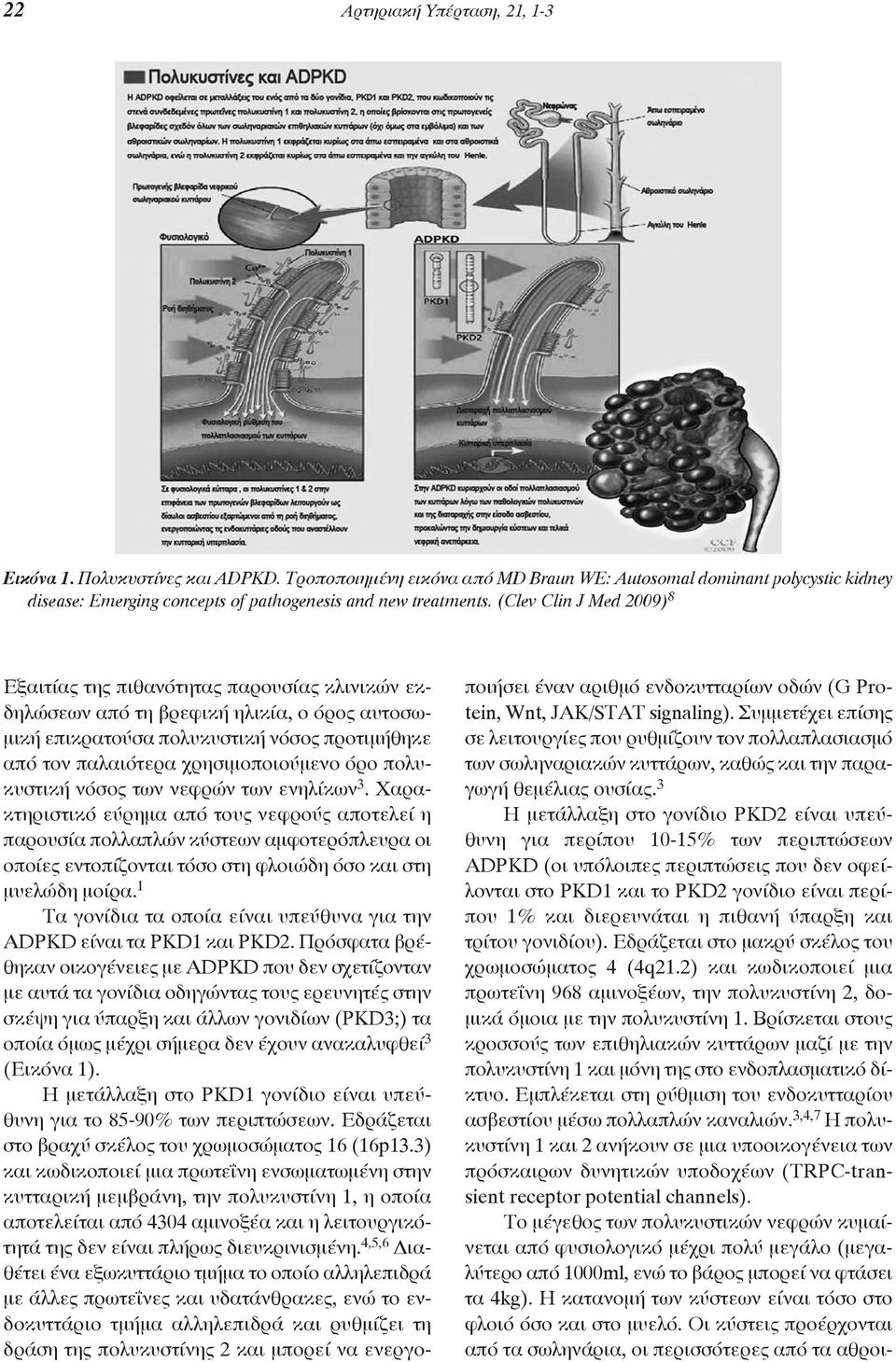 (Clev Clin J Med 2009) 8 Εξαιτίας της πιθανότητας παρουσίας κλινικών εκδηλώσεων από τη βρεφική ηλικία, ο όρος αυτοσωμική επικρατούσα πολυκυστική νόσος προτιμήθηκε από τον παλαιότερα χρησιμοποιούμενο