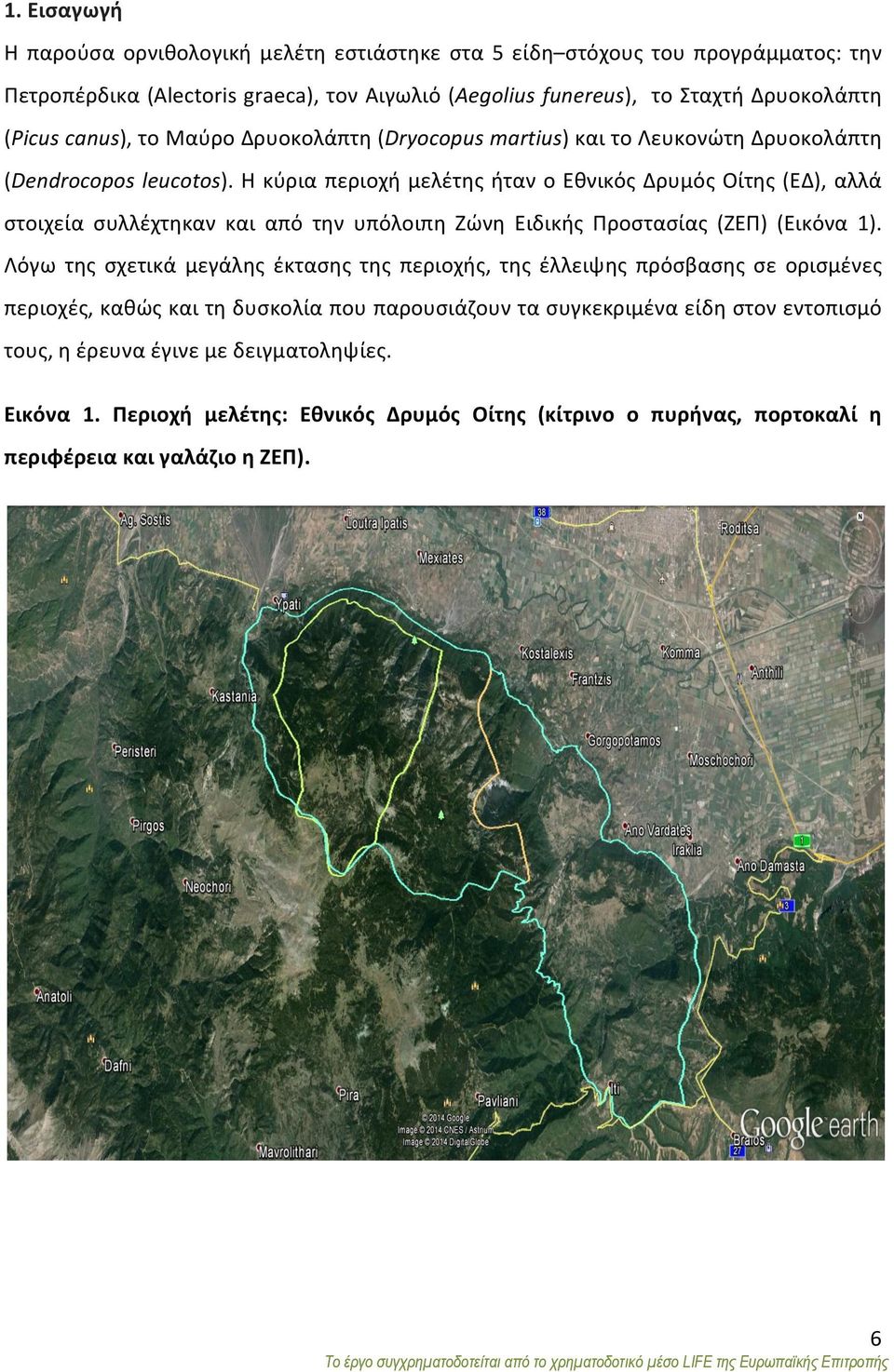 Η κύρια περιοχή μελέτης ήταν ο Εθνικός Δρυμός Οίτης (ΕΔ), αλλά στοιχεία συλλέχτηκαν και από την υπόλοιπη Ζώνη Ειδικής Προστασίας (ΖΕΠ) (Εικόνα 1).