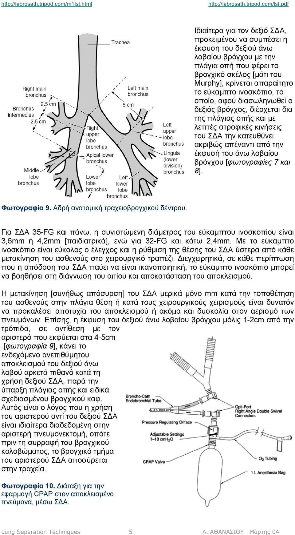 [φωτογραφίες 7 και 8]. Φωτογραφία 9. Αδρή ανατοµική τραχειοβρογχικού δέντρου.