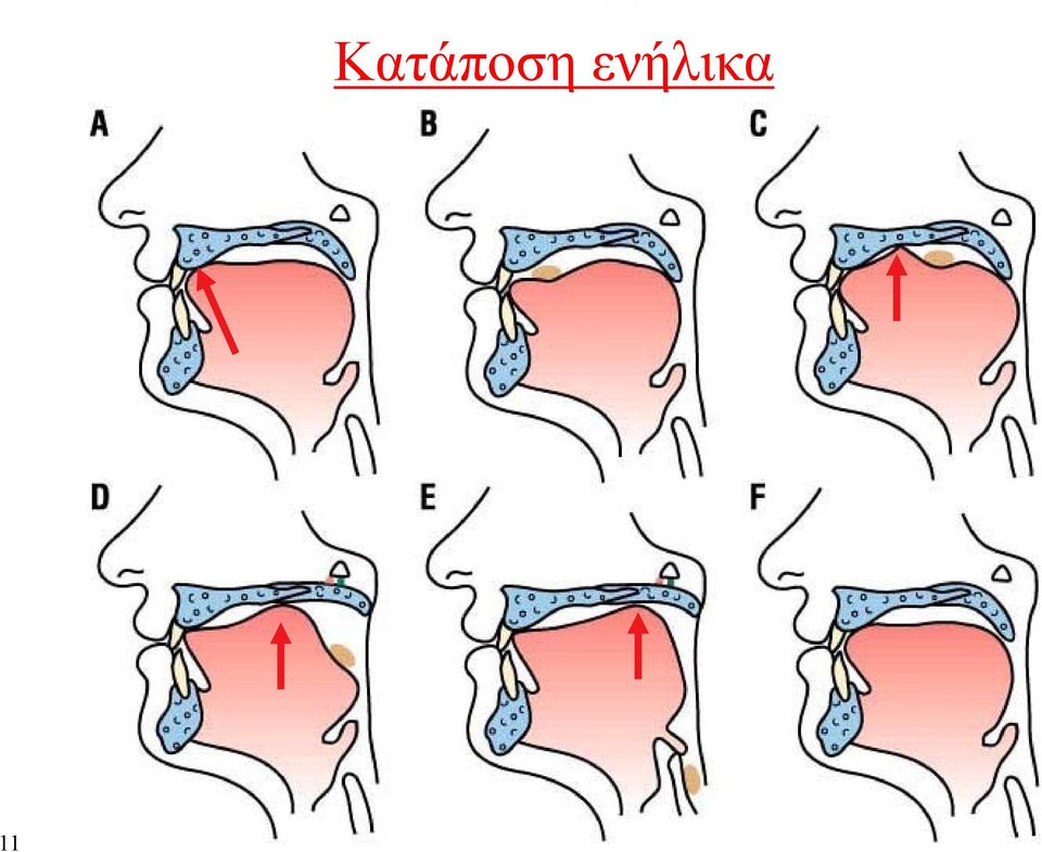 ενήλικα