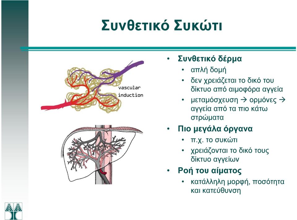 κάτω στρώµατα Πιο µεγάλα όργανα π.χ.