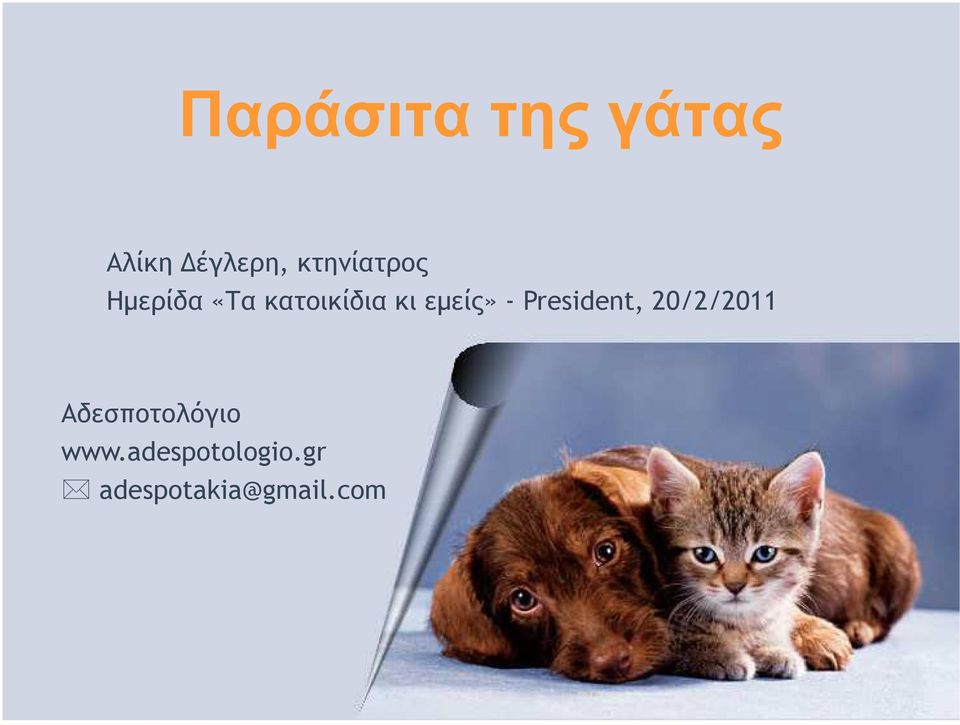 εµείς» - President, 20/2/2011