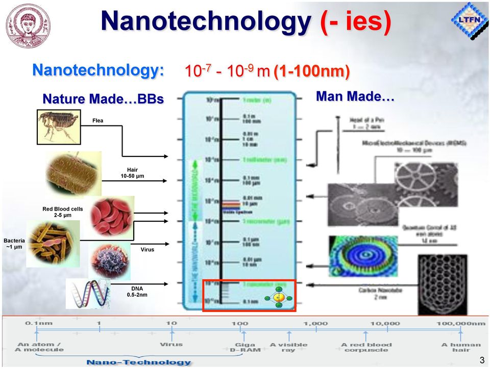 Man Made Flea Hair 10-50 µm Red Blood