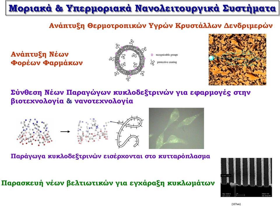 Σύνθεση Νέων Παραγώγων κυκλοδεξτρινών για εφαρµογές στην βιοτεχνολογία & νανοτεχνολογία