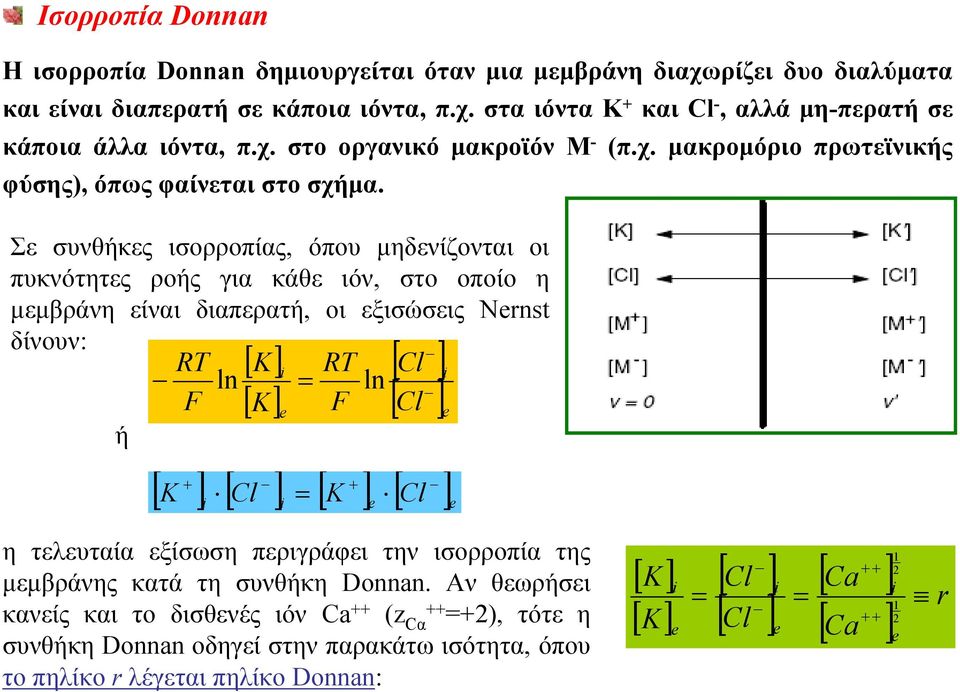 Σε συνθήκες ισορροπίας, όπου μηδενίζονται οι πυκνότητες ροής για κάθε ιόν, στο οποίο η μεμβράνη είναι διαπερατή, οι εξισώσεις Nernst δίνουν: ή RT F ln [ K] i [ K] e = RT F ln [ Cl ] i [ Cl ] e + + [