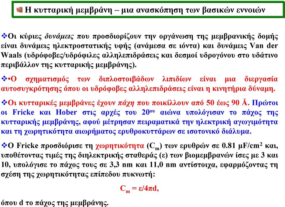 Ο σχηματισμός των διπλοστοιβάδων λιπιδίων είναι μια διεργασία αυτοσυγκρότησης όπου οι υδρόφοβες αλληλεπιδράσεις είναι η κινητήρια δύναμη.