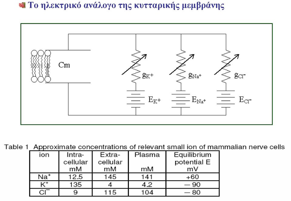 ανάλογο της