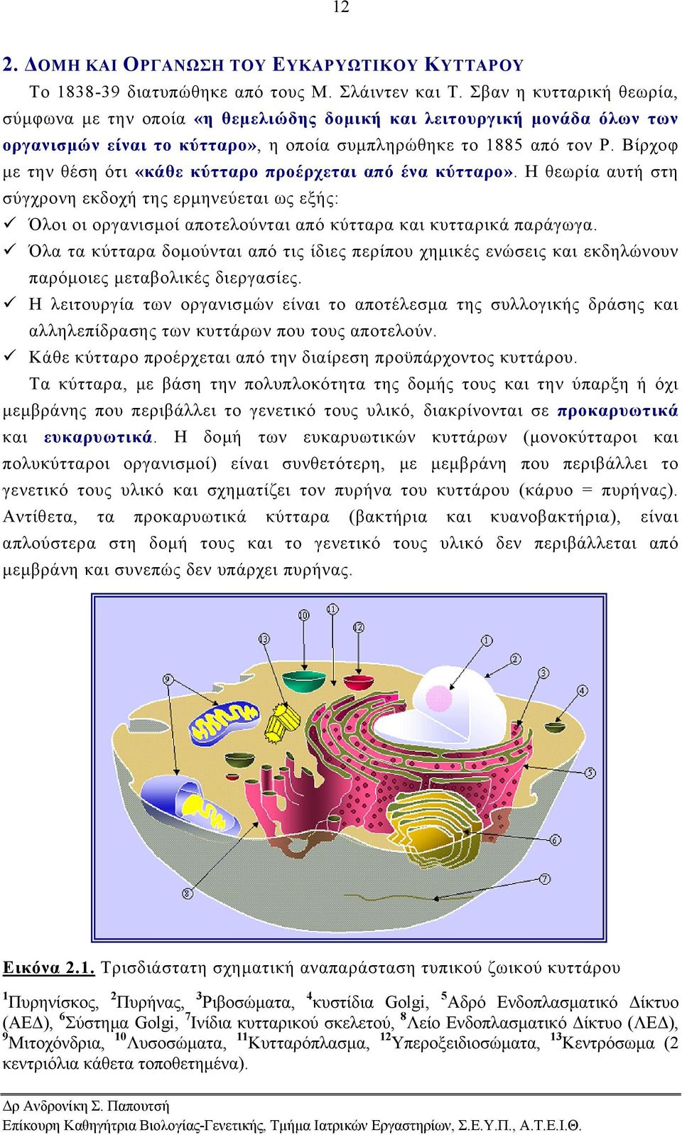 Βίρχοφ με την θέση ότι «κάθε κύτταρο προέρχεται από ένα κύτταρο». Η θεωρία αυτή στη σύγχρονη εκδοχή της ερμηνεύεται ως εξής: Όλοι οι οργανισμοί αποτελούνται από κύτταρα και κυτταρικά παράγωγα.