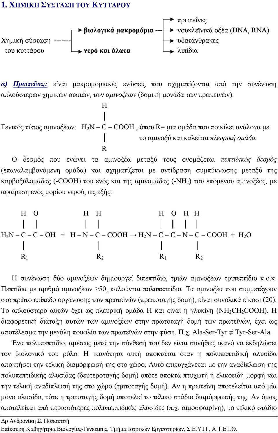 Η Γενικός τύπος αμινοξέων: H 2 N C COOH, όπου R= μια ομάδα που ποικίλει ανάλογα με το αμινοξύ και καλείται πλευρική ομάδα R Ο δεσμός που ενώνει τα αμινοξέα μεταξύ τους ονομάζεται πεπτιδικός δεσμός