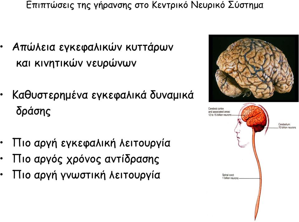 Καθυστερημένα εγκεφαλικά δυναμικά δράσης Πιο αργή