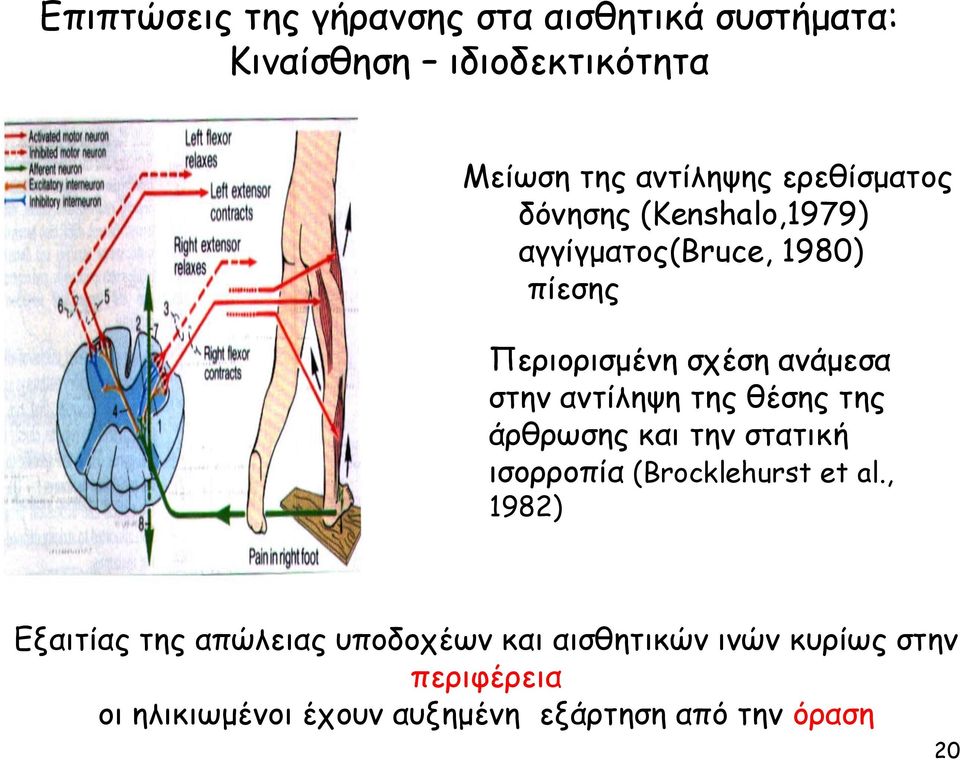 αντίληψη της θέσης της άρθρωσης και την στατική ισορροπία (Brocklehurst et al.