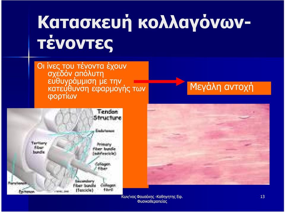 απόλυτη ευθυγράμμιση με την