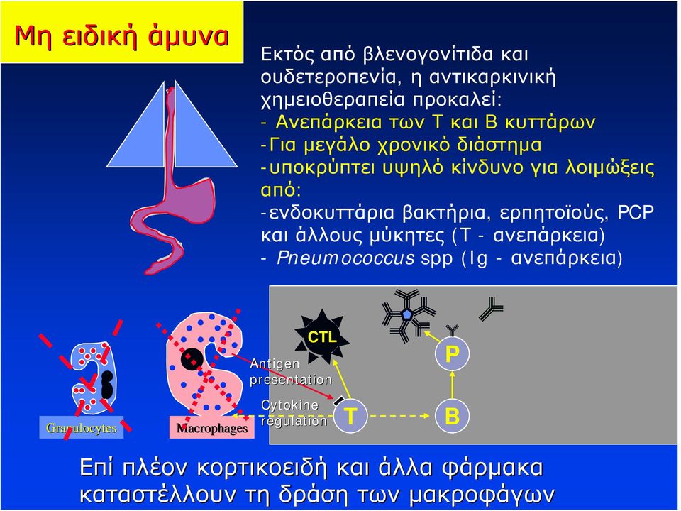 ερπητοϊούς, PCP και άλλους μύκητες (T - ανεπάρκεια) - Pneumococcus spp (Ig - ανεπάρκεια) CTL Antigen presentation P