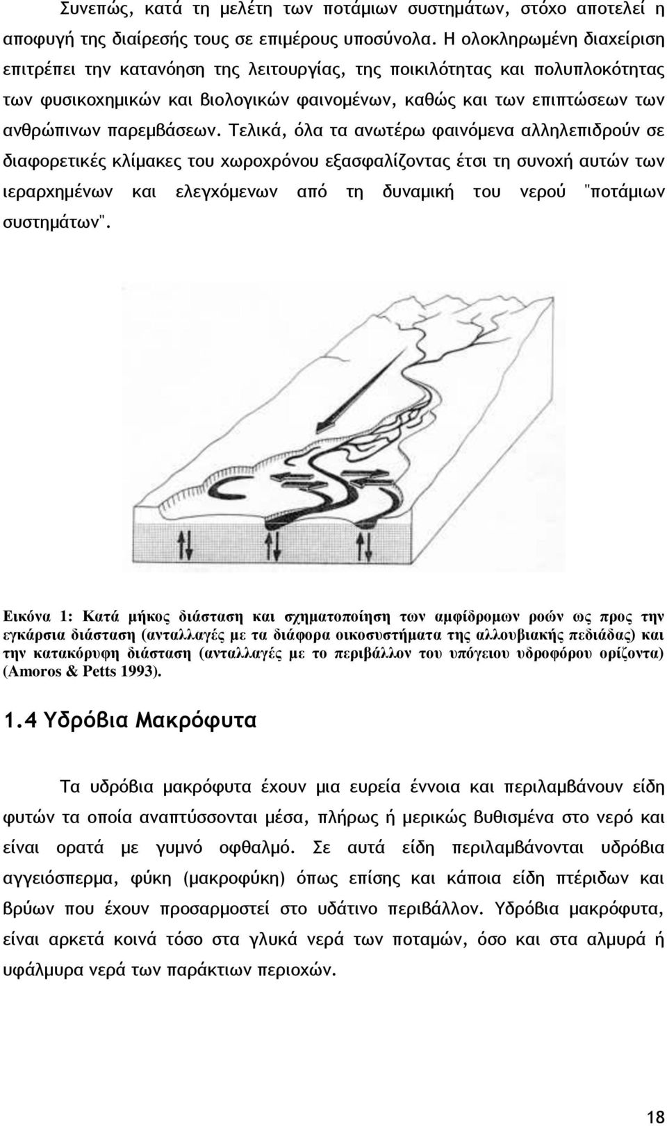 Τελικά, όλα τα ανωτέρω φαινόμενα αλληλεπιδρούν σε διαφορετικές κλίμακες του χωροχρόνου εξασφαλίζοντας έτσι τη συνοχή αυτών των ιεραρχημένων και ελεγχόμενων από τη δυναμική του νερού "ποτάμιων