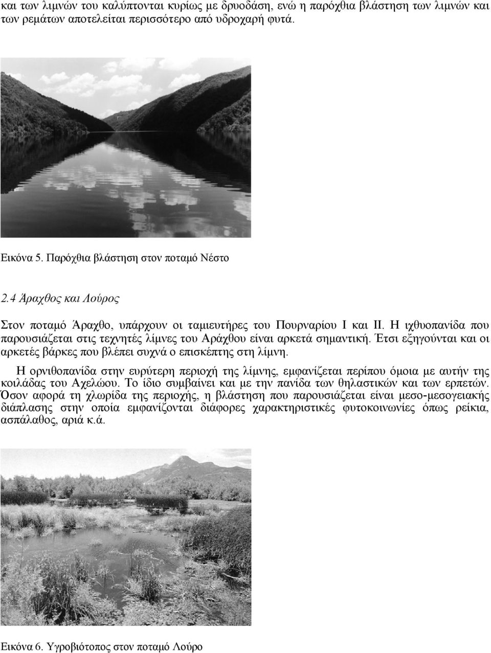 Έτσι εξηγούνται και οι αρκετές βάρκες που βλέπει συχνά ο επισκέπτης στη λίµνη. Η ορνιθοπανίδα στην ευρύτερη περιοχή της λίµνης, εµφανίζεται περίπου όµοια µε αυτήν της κοιλάδας του Αχελώου.