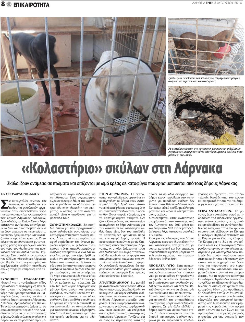 «Κολαστήριο» σκύλων στη Λάρνακα Σκύλοι ζουν ανάμεσα σε πτώματα και σιτίζονται με ωμό κρέας σε καταφύγιο που χρησιμοποιείται από τους δήμους Λάρνακας Της ΘΕΟΔΩΡΑΣ ΝΙΚΟΛΑΟΥ Σε καταγγελίες ενώπιον της