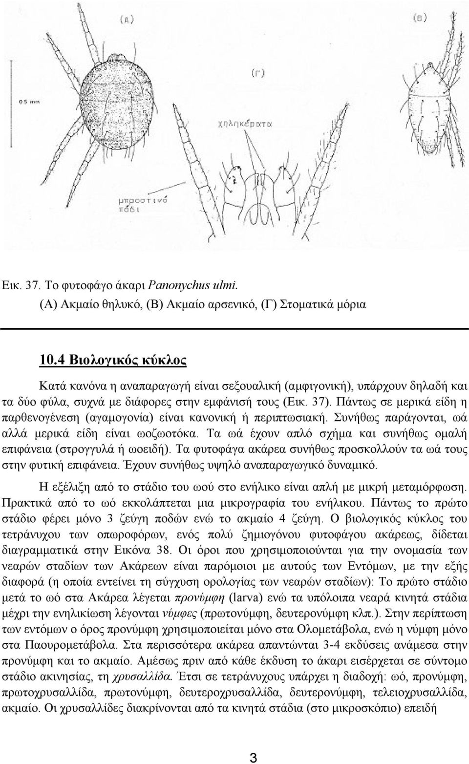 Πάντως σε µερικά είδη η παρθενογένεση (αγαµογονία) είναι κανονική ή περιπτωσιακή. Συνήθως παράγονται, ωά αλλά µερικά είδη είναι ωοζωοτόκα.