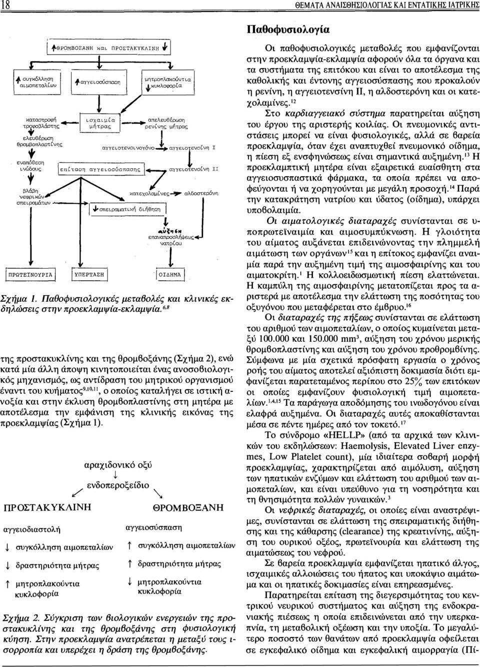 α νξία και στην έκλυση θρμβπλαστίνης στη μητέρα με απτέλεσμα την εμφάνιση της κλινικής εικόνας της πρεκλαμψίας (Σχήμα 1). αραχιδνικό ξύ t ενδπερξείδι / \.,.