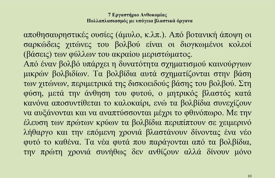 Στη φύση, μετά την άνθηση του φυτού, ο μητρικός βλαστός κατά κανόνα αποσυντίθεται το καλοκαίρι, ενώ τα βολβίδια συνεχίζουν να αυξάνονται και να αναπτύσσονται μέχρι το φθινόπωρο.