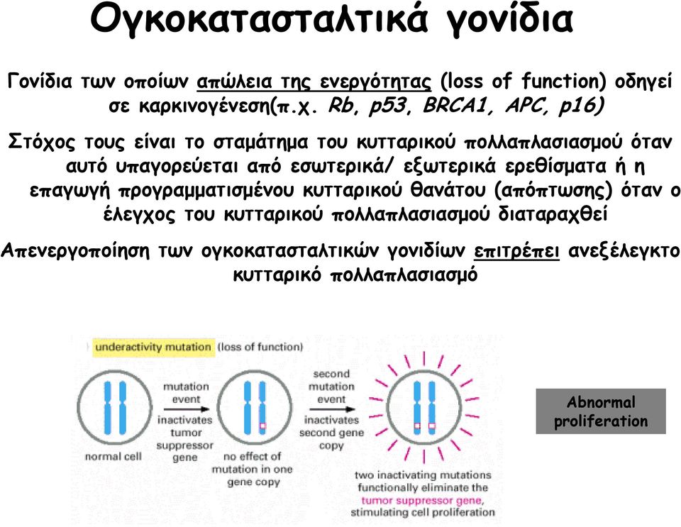 εσωτερικά/ εξωτερικά ερεθίσματα ή η επαγωγή προγραμματισμένου κυτταρικού θανάτου (απόπτωσης) όταν ο έλεγχος του κυτταρικού