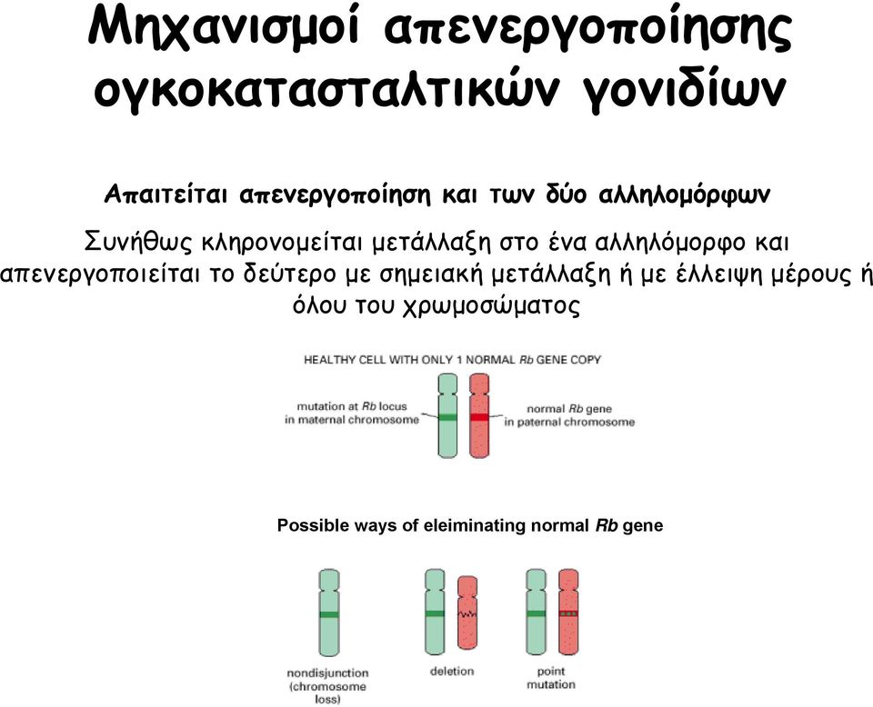 στο ένα αλληλόμορφο και απενεργοποιείται το δεύτερο με σημειακή μετάλλαξη