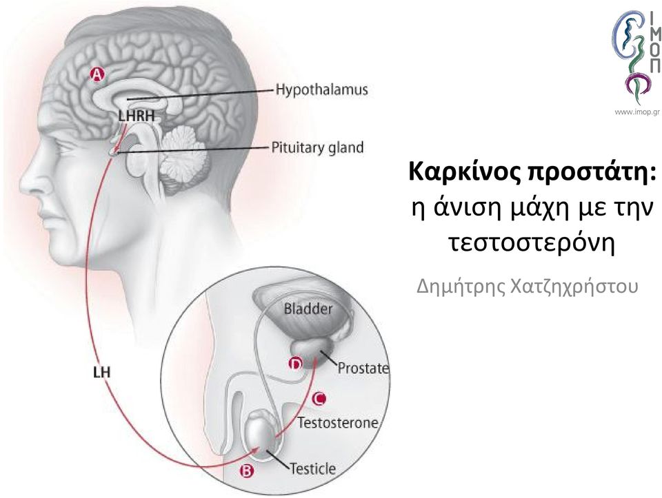 την τεστοστερόνη