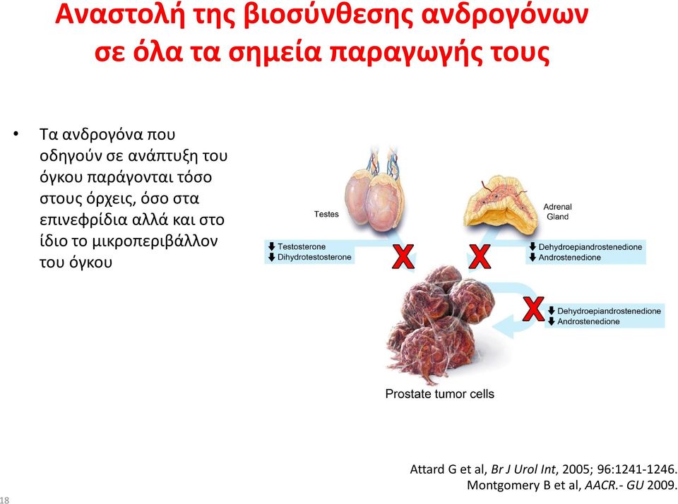 όσο στα επινεφρίδια αλλά και στο ίδιο το μικροπεριβάλλον του όγκου 18