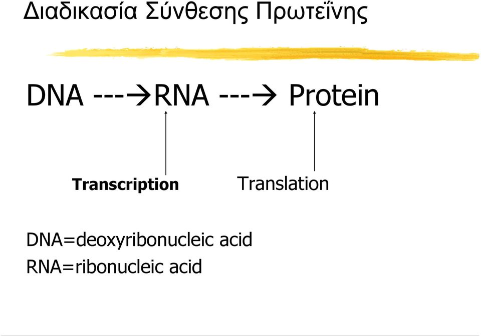 Transcription Translation