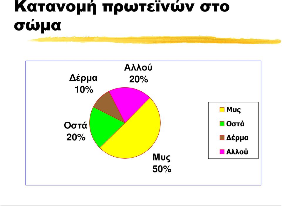 Αλλού 20% Μυς Οστά