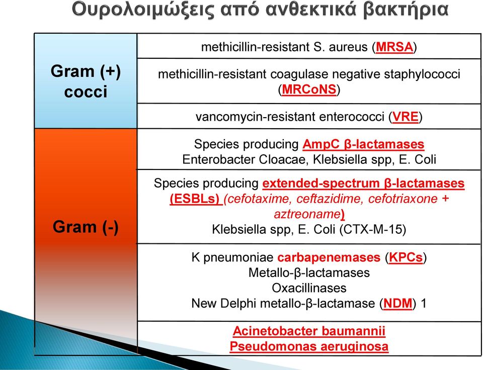 AmpC β-lactamases Enterobacter Cloacae, Klebsiella spp, E.