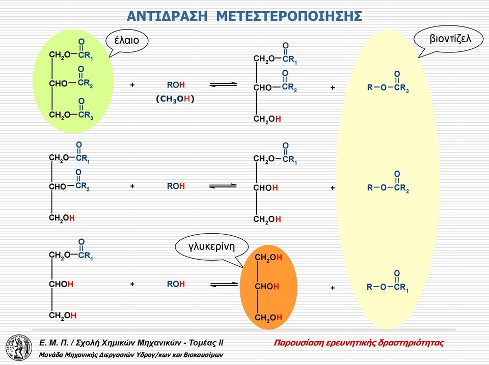 O O CR 1 CH 2 O O CR 1 CHO O CR 2 + ROH CHOH + R O O CR 2 CH 2 OH CH 2 OH