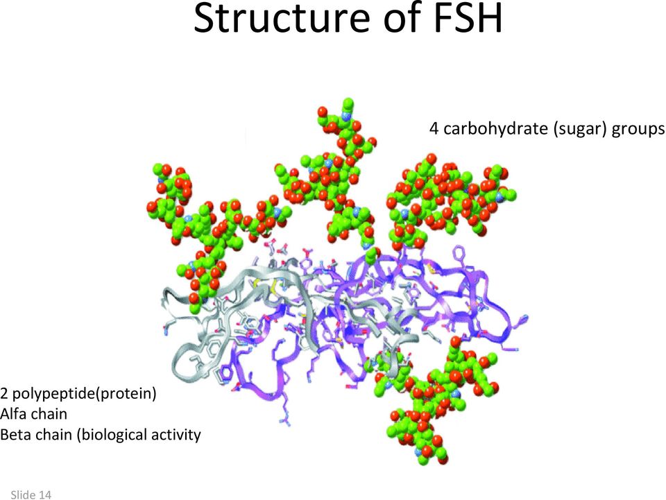 polypeptide(protein) Alfa