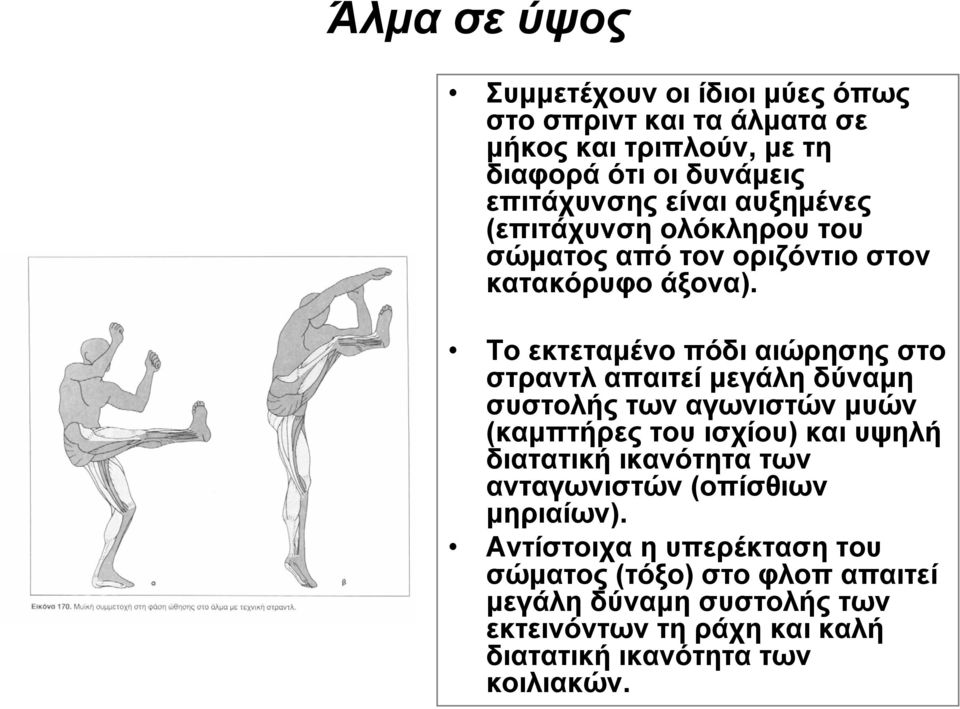 Το εκτεταμένο πόδι αιώρησης στο στραντλ απαιτεί μεγάλη δύναμη συστολής των αγωνιστών μυών (καμπτήρες του ισχίου) και υψηλή διατατική