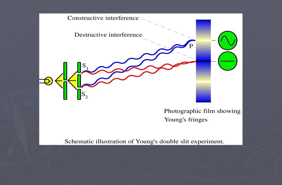 film showing Young's fringes Schematic