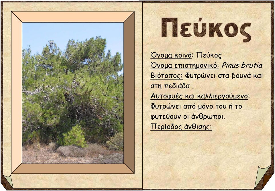 πεδιάδα.