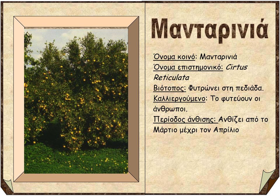 πεδιάδα.