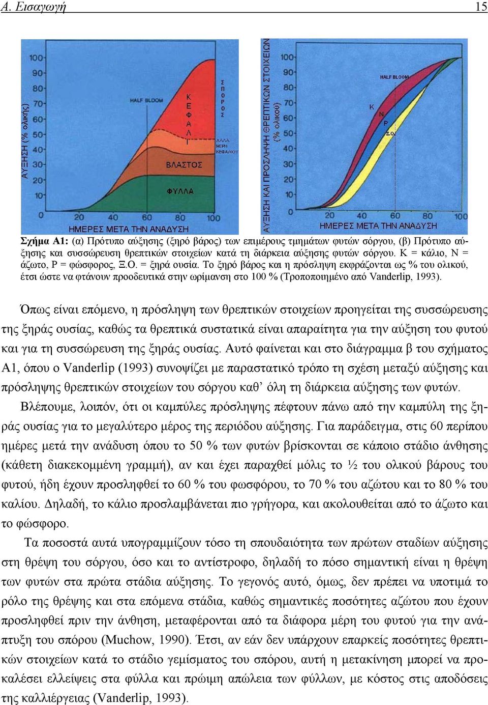 Το ξηρό βάρος και η πρόσληψη εκφράζονται ως % του ολικού, έτσι ώστε να φτάνουν προοδευτικά στην ωρίµανση στο 100 % (Τροποποιηµένο από Vanderlip, 1993).