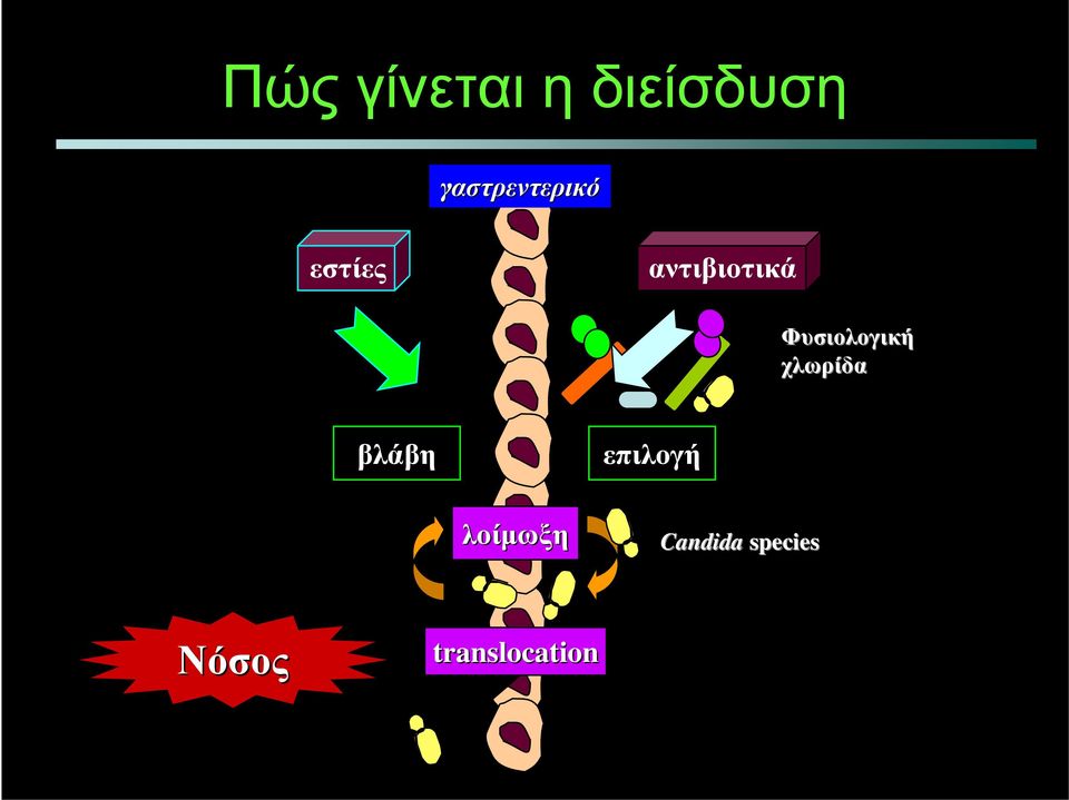 Φυσιολογική χλωρίδα βλάβη επιλογή