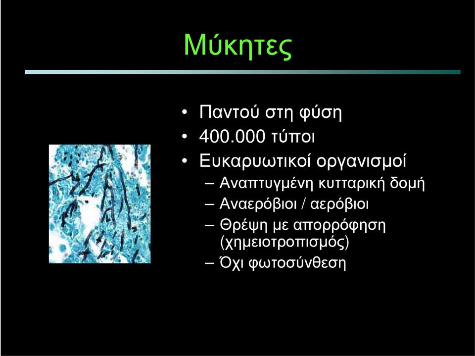 Αναπτυγμένη κυτταρική δομή Αναερόβιοι /