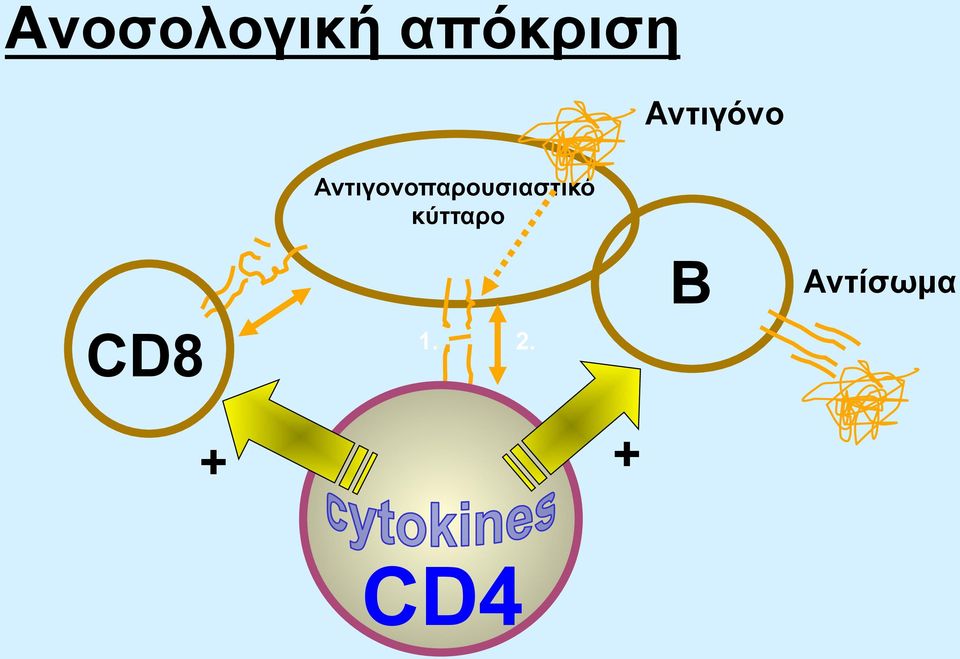 Αντιγονοπαρουσιαστικό