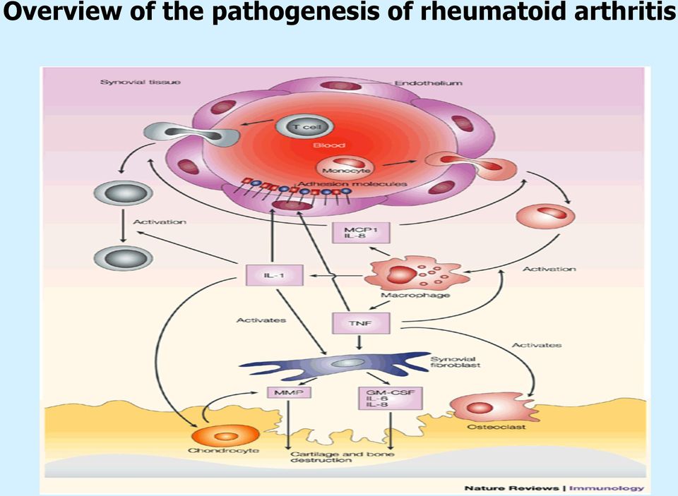pathogenesis