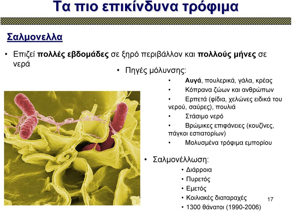 ειδικά του νερού, σαύρες), πουλιά Στάσιμο νερό Βρώμικες επιφάνειες (κουζίνες, πάγκοι εστιατορίων)