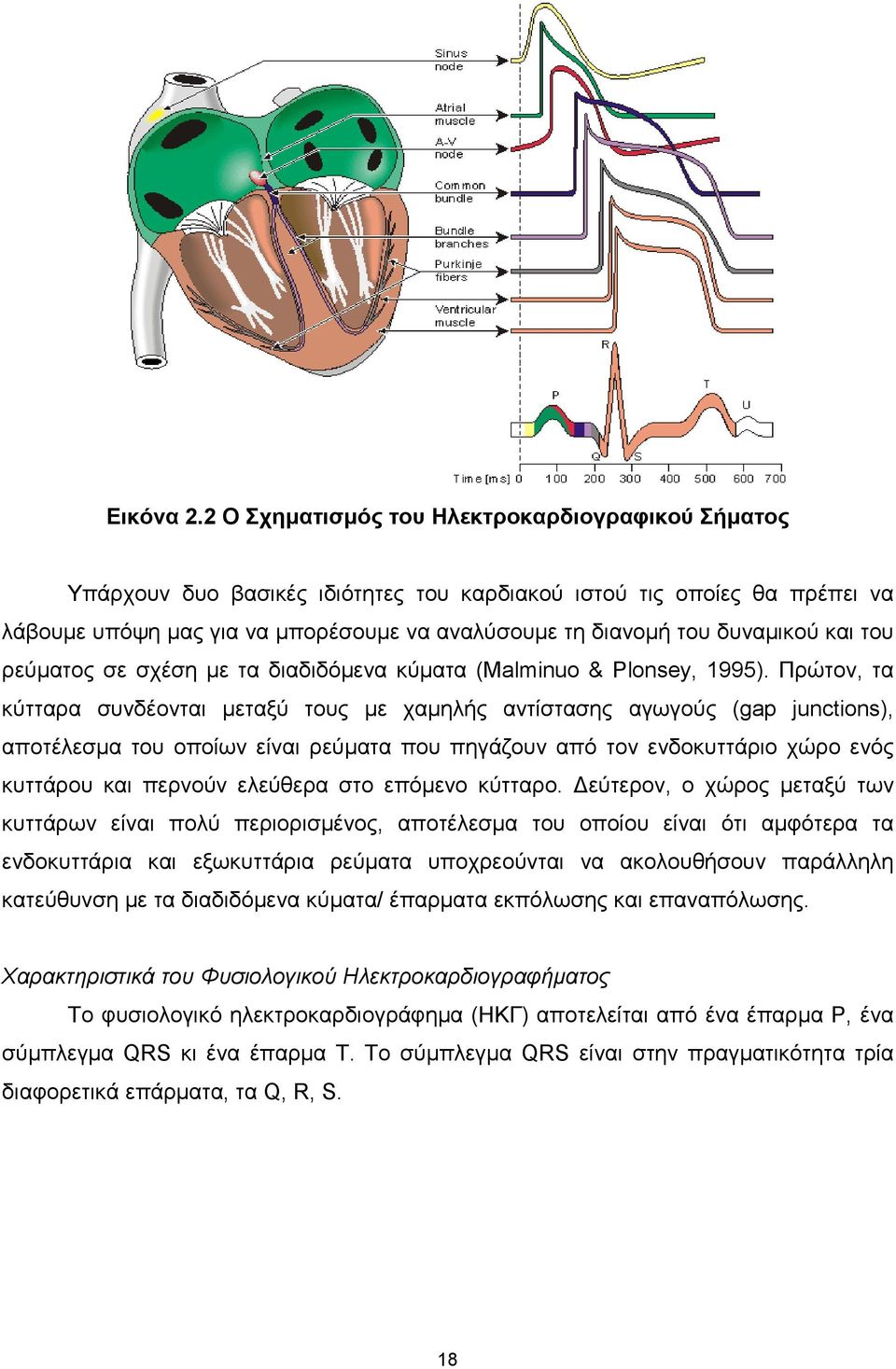 και του ρεύµατος σε σχέση µε τα διαδιδόµενα κύµατα (Malminuo & Plonsey, 1995).