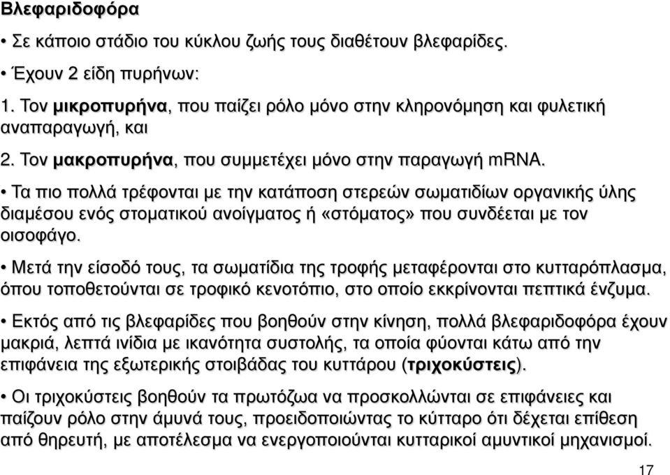 Τα πιο πολλά τρέφονται με την κατάποση στερεών σωματιδίων οργανικής ύλης διαμέσου ενός στοματικού ανοίγματος ή «στόματος» που συνδέεται με τον οισοφάγο.