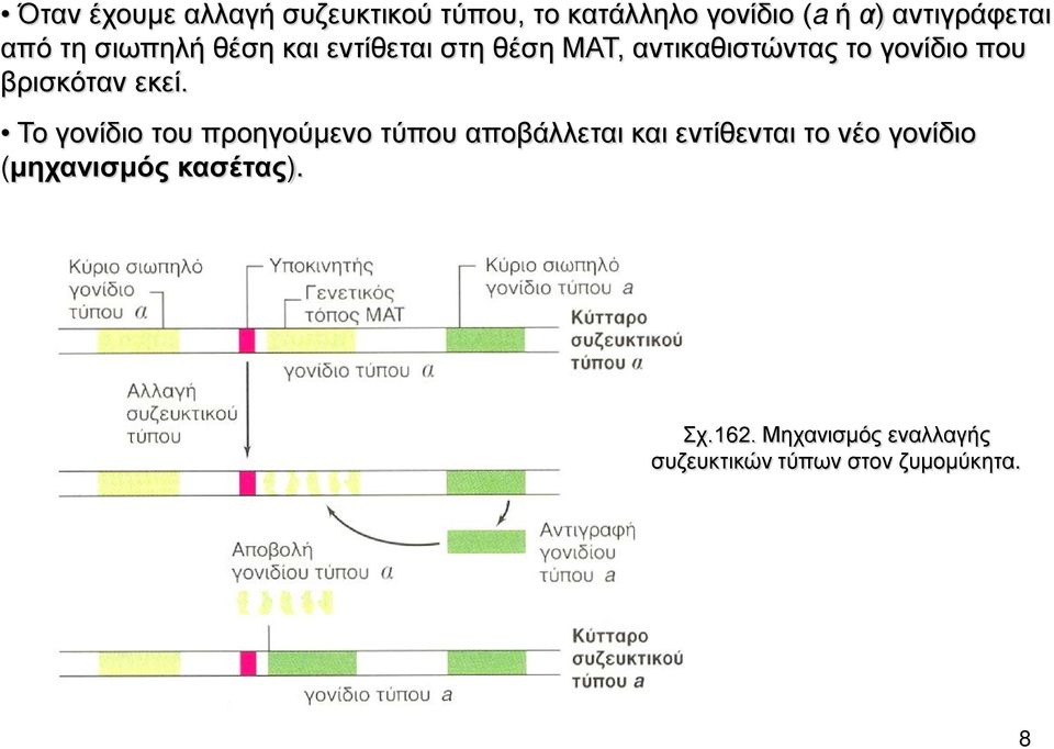 εκεί. Το γονίδιο του προηγούμενο τύπου αποβάλλεται και εντίθενται το νέο γονίδιο