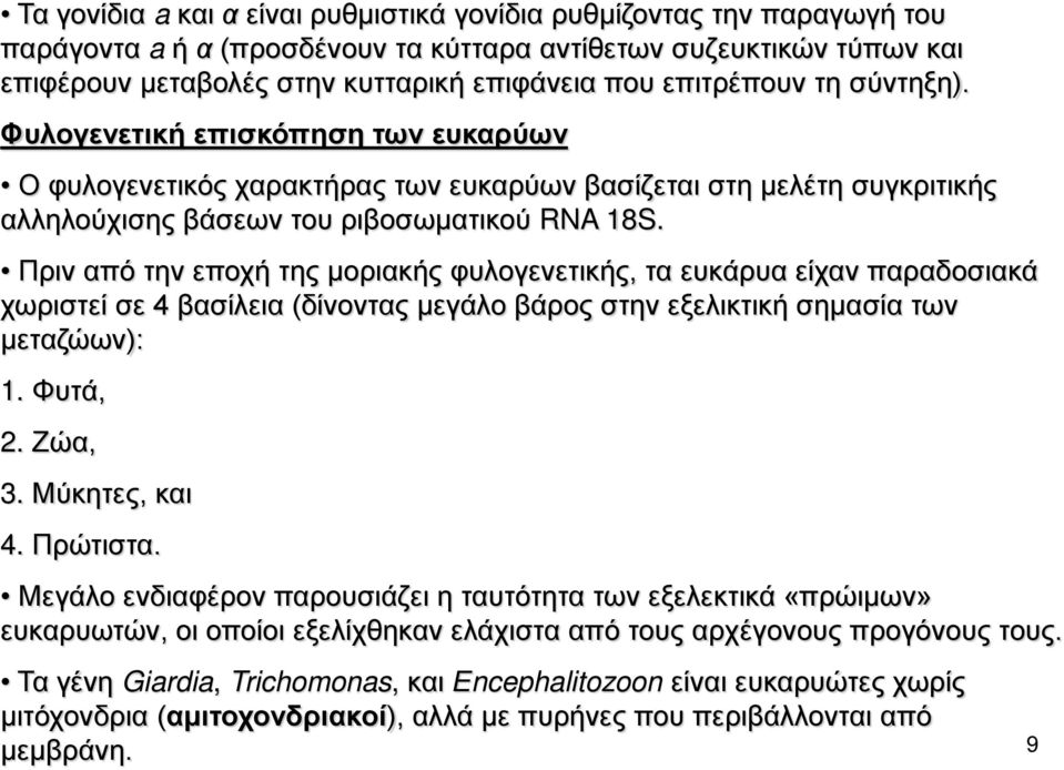 Πριν από την εποχή της μοριακής φυλογενετικής, τα ευκάρυα είχαν παραδοσιακά χωριστεί σε 4 βασίλεια (δίνοντας μεγάλο βάρος στην εξελικτική σημασία των μεταζώων): 1. Φυτά, 2. Ζώα, 3. Μύκητες, και 4.