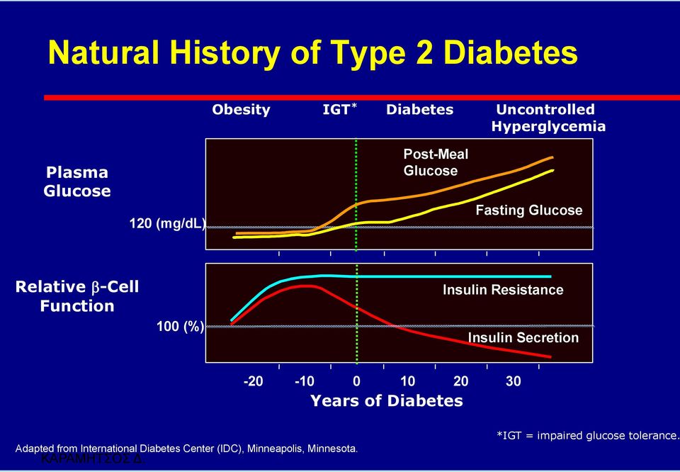 (%) Insulin Resistance Insulin Secretion -20-10 0 10 20 30 Years of Diabetes Adapted from